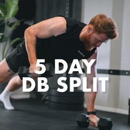 5 Day DB Split