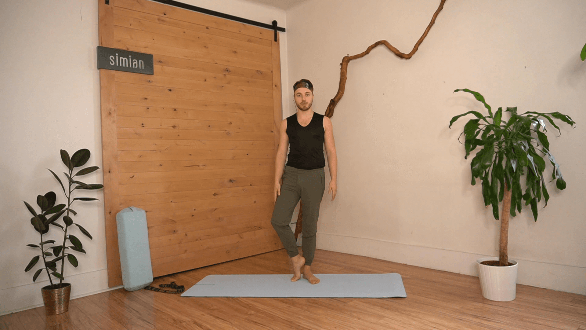 Beginner Yoga Pt. 2 "Earth"
