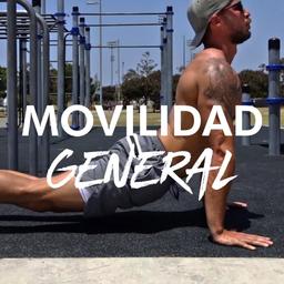 Movilidad General