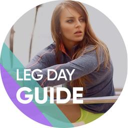Leg Day Guide