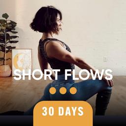 Short Flows