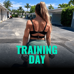 Training day