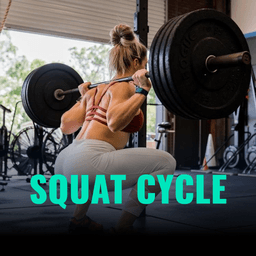 Squat cycle