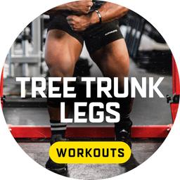 Tree Trunk Legs