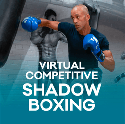 Virtual Shadow Boxing