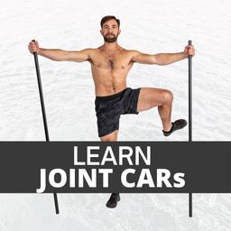 Learn Joint CARs