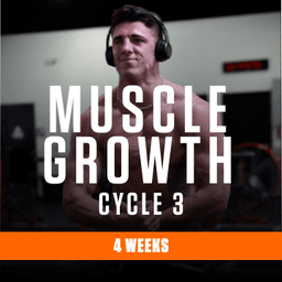 Muscle Growth cycle 3