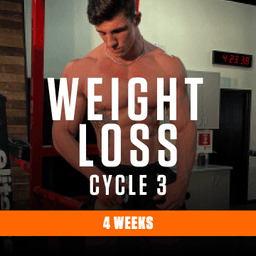 Weight loss cycle 3