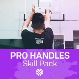 Pro Handles Pack