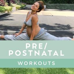Pre/Postnatal Workouts