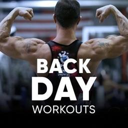 Back Day Workouts
