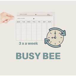 Busy bee 🐝