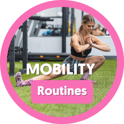 Mobility Routines