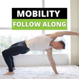 Mobility Flow Videos