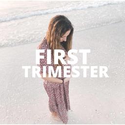 First Trimester