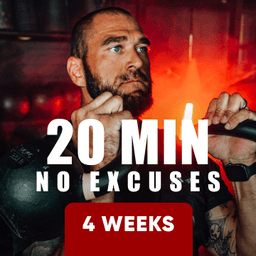 20 Minute No Excuses