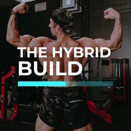 The Hybrid Build