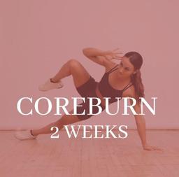 Coreburn Program