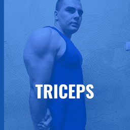 Triceps