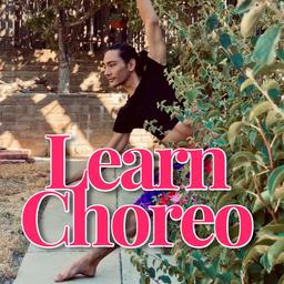 Learn Choreo