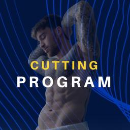 Gym Cutting Program