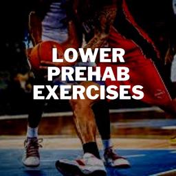 Lower Prehab Exercises