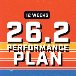26.2 Performance Plan