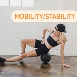 Mobility/Stability