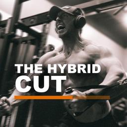 The Hybrid Cut