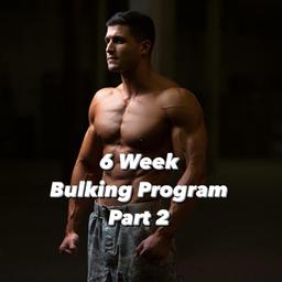 6 Week Bulk - Part 2