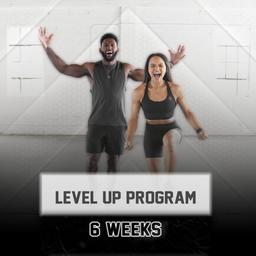 Level Up Program