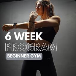6 Week Program - Gym
