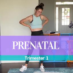 Prenatal Trimester 1