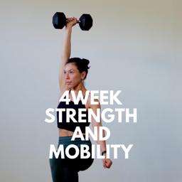 4W Strength/Mobility
