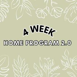 HOME PROGRAM 2.0