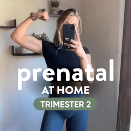 Prenatal Home 2