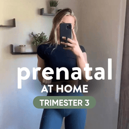 Prenatal Home 3