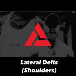 Lateral Deltoids