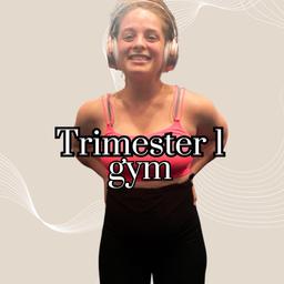 Trimester 1 - gym