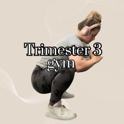 Trimester 3 - gym