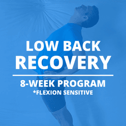 Low Back Recovery 1
