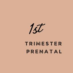 Prenatal 1st Trimester