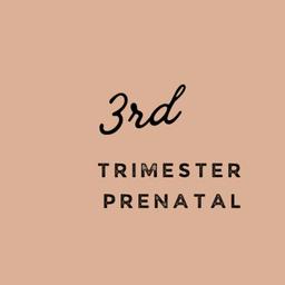 Prenatal 3rd Trimester