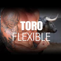 Toro Flexible