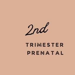Prenatal 2nd Trimester