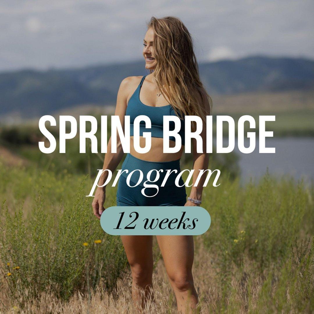 Spring Bridge Program