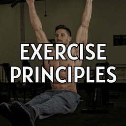 Exercise Principles