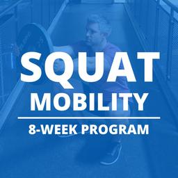 Squat Mobility Program