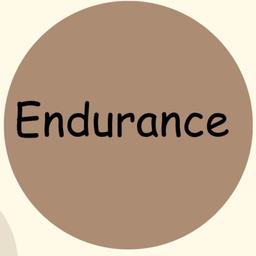 Endurance workouts