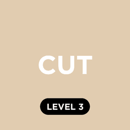 Cut Level 3